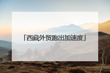 西藏外贸跑出加速度