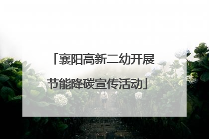 襄阳高新二幼开展节能降碳宣传活动