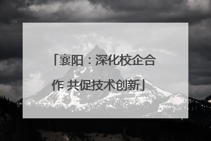 襄阳：深化校企合作 共促技术创新
