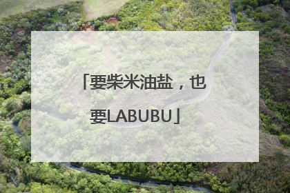 要柴米油盐，也要LABUBU