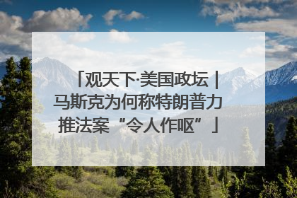 观天下·美国政坛｜马斯克为何称特朗普力推法案“令人作呕”