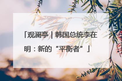 观澜亭｜韩国总统李在明：新的“平衡者”