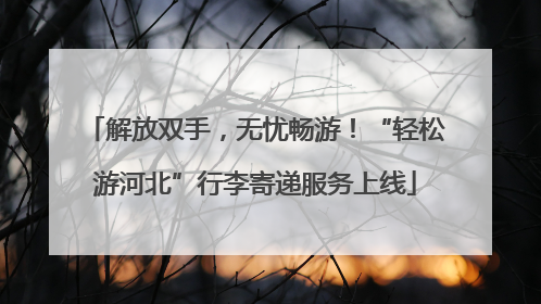解放双手，无忧畅游！“轻松游河北”行李寄递服务上线