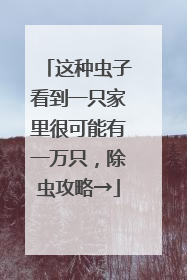 这种虫子看到一只家里很可能有一万只，除虫攻略→