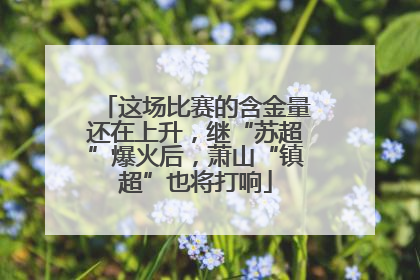 这场比赛的含金量还在上升，继“苏超”爆火后，萧山“镇超”也将打响