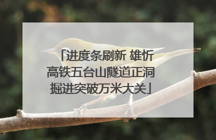 进度条刷新 雄忻高铁五台山隧道正洞掘进突破万米大关