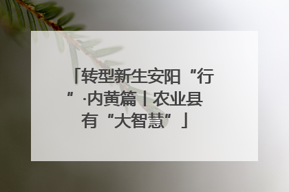 转型新生安阳“行”·内黄篇丨农业县有“大智慧”