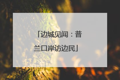 边城见闻：普兰口岸访边民