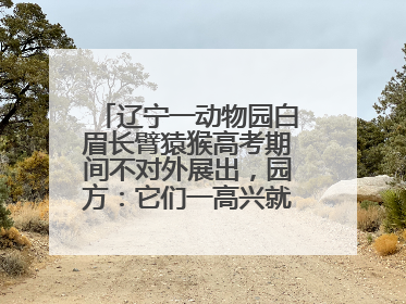 辽宁一动物园白眉长臂猿猴高考期间不对外展出，园方：它们一高兴就喜欢鸣叫，怕影响考试