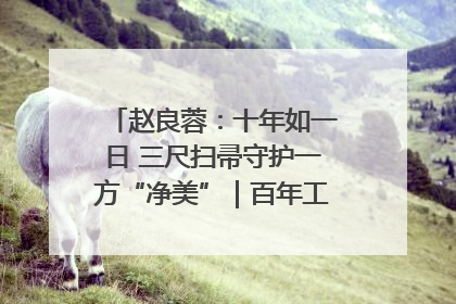 赵良蓉：十年如一日 三尺扫帚守护一方“净美”｜百年工运·劳模说