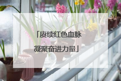 赓续红色血脉 凝聚奋进力量