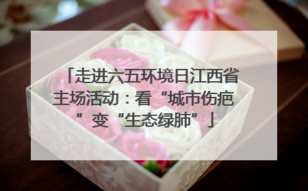 走进六五环境日江西省主场活动：看“城市伤疤”变“生态绿肺”