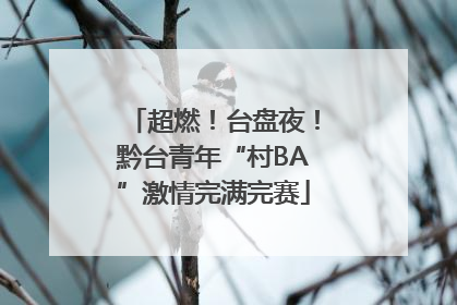超燃！台盘夜！黔台青年“村BA”激情完满完赛