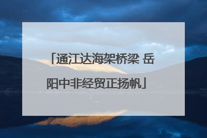 通江达海架桥梁 岳阳中非经贸正扬帆