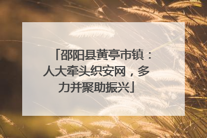 邵阳县黄亭市镇：人大牵头织安网，多力并聚助振兴