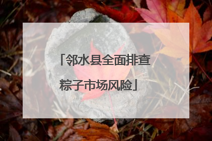 邻水县全面排查粽子市场风险