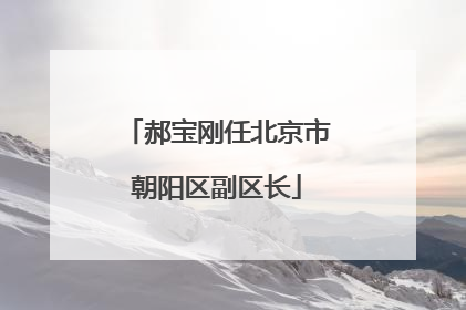 郝宝刚任北京市朝阳区副区长