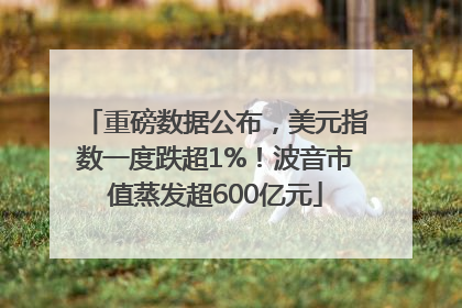 重磅数据公布，美元指数一度跌超1%！波音市值蒸发超600亿元