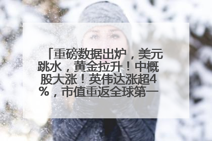 重磅数据出炉，美元跳水，黄金拉升！中概股大涨！英伟达涨超4%，市值重返全球第一！黄仁勋计划出售至多600万股股票