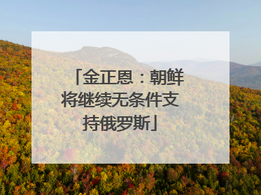 金正恩：朝鲜将继续无条件支持俄罗斯