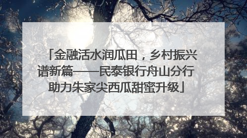 金融活水润瓜田，乡村振兴谱新篇——民泰银行舟山分行助力朱家尖西瓜甜蜜升级