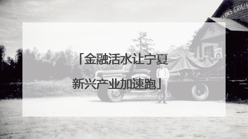 金融活水让宁夏新兴产业加速跑