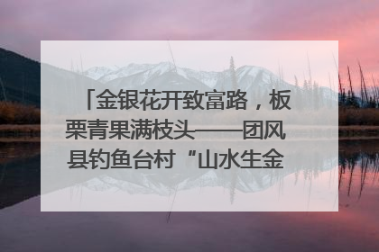 金银花开致富路，板栗青果满枝头——团风县钓鱼台村“山水生金”谱写共富新篇章