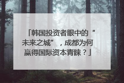 韩国投资者眼中的“未来之城”，成都为何赢得国际资本青睐？