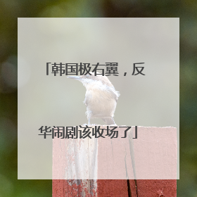 韩国极右翼，反华闹剧该收场了