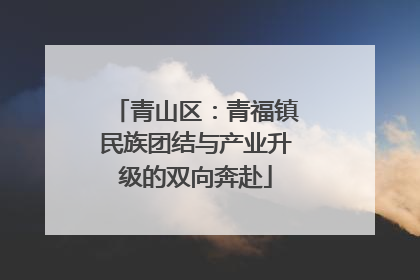 青山区：青福镇民族团结与产业升级的双向奔赴