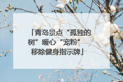 青岛景点“孤独的树”暖心“宠粉” 移除健身指示牌