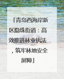 青岛西海岸新区隐珠街道：高效推进林业执法，筑牢林地安全屏障
