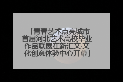 青春艺术点亮城市 首届河北艺术高校毕业作品联展在新汇文·文化创意体验中心开幕