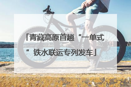 青藏高原首趟“一单式”铁水联运专列发车