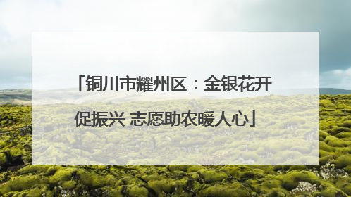 铜川市耀州区：金银花开促振兴 志愿助农暖人心