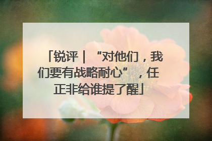 锐评｜“对他们，我们要有战略耐心”，任正非给谁提了醒
