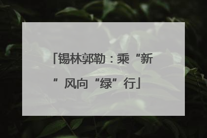 锡林郭勒：乘“新”风向“绿”行