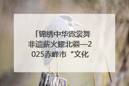 锦绣中华霓裳舞 非遗薪火耀北疆—2025赤峰市“文化和自然遗产日”非遗宣传展示活动纪实