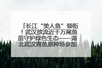 长江“美人鱼”领衔！武汉放流近千万尾鱼苗守护绿色生态——湖北武汉青鱼原种场参加2025年“全国放鱼日”增殖放流活动