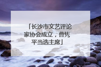 长沙市文艺评论家协会成立，曹隽平当选主席