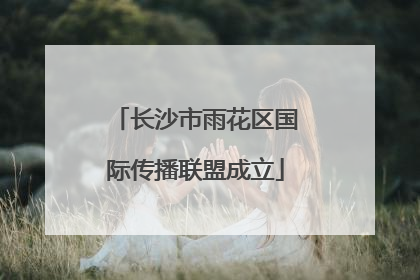 长沙市雨花区国际传播联盟成立