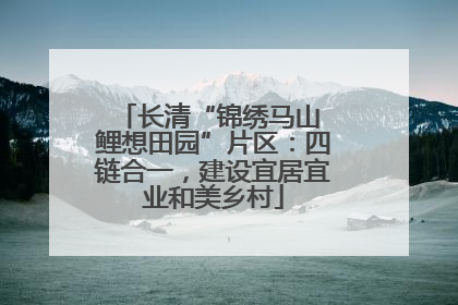 长清“锦绣马山 鲤想田园”片区：四链合一，建设宜居宜业和美乡村