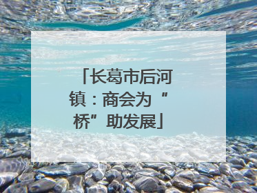 长葛市后河镇：商会为“桥”助发展