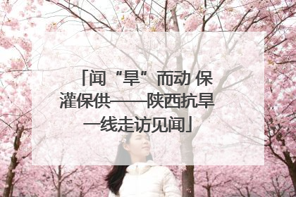 闻“旱”而动 保灌保供——陕西抗旱一线走访见闻