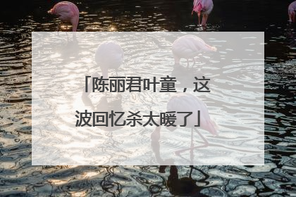 陈丽君叶童，这波回忆杀太暖了