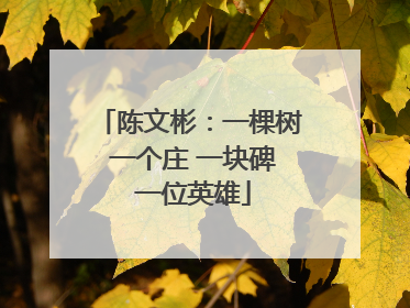 陈文彬：一棵树 一个庄 一块碑 一位英雄