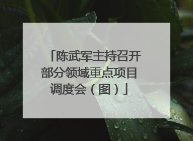 陈武军主持召开部分领域重点项目调度会（图）