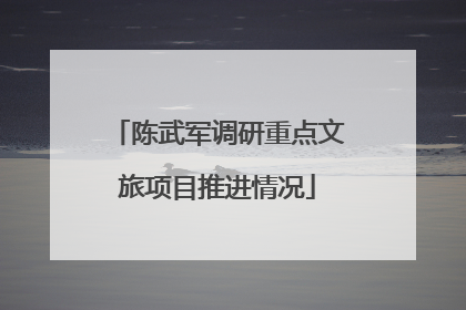 陈武军调研重点文旅项目推进情况