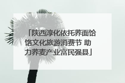 陕西淳化依托荞面饸饹文化旅游消费节 助力荞麦产业富民强县
