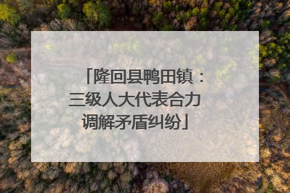 隆回县鸭田镇：三级人大代表合力调解矛盾纠纷